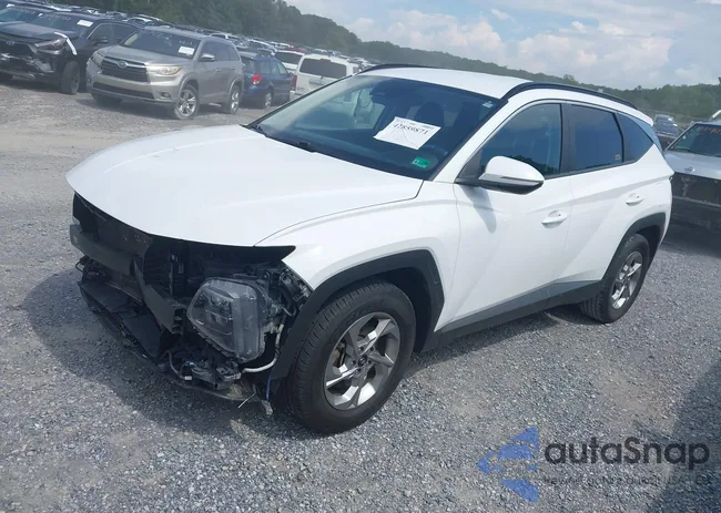 5NMJB3AE9PH202369: 42859871