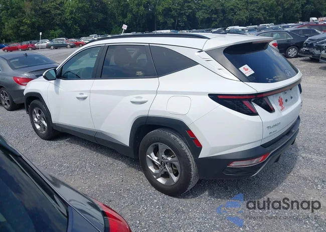 5NMJB3AE9PH202369: 42859871