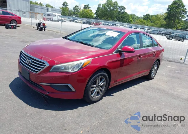 5NPE24AF8GH281794: 42860350