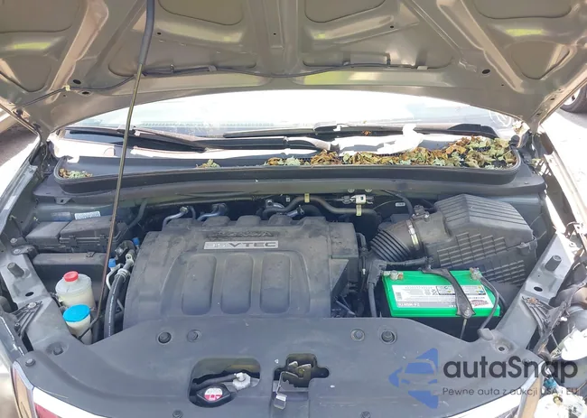 5FNRL38219B026109: 42859548