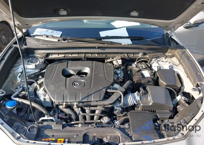 3MVDMBCM7PM579963: 42859577