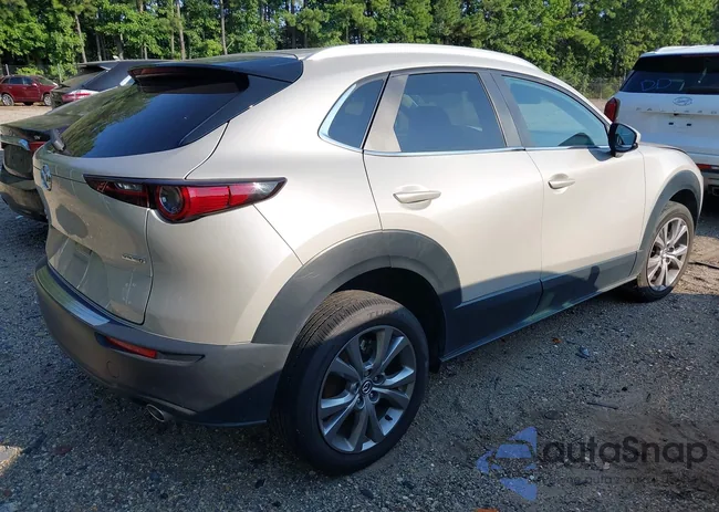 3MVDMBCM7PM579963: 42859577