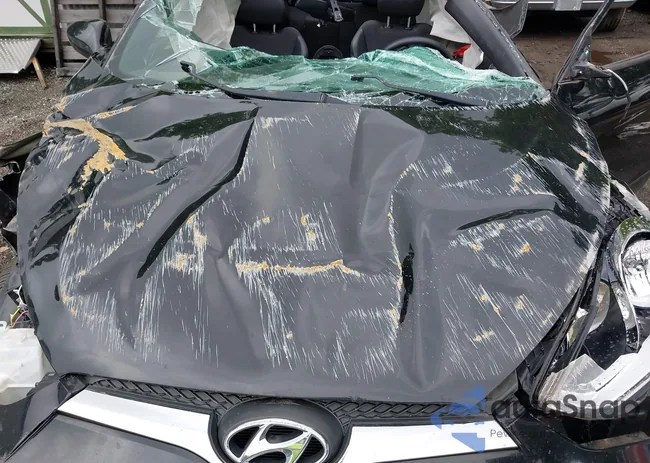 KMHTC6AD3GU289057: 42861058