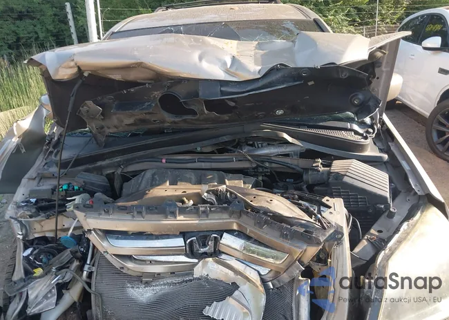 5FNRL384X7B001630: 42861069