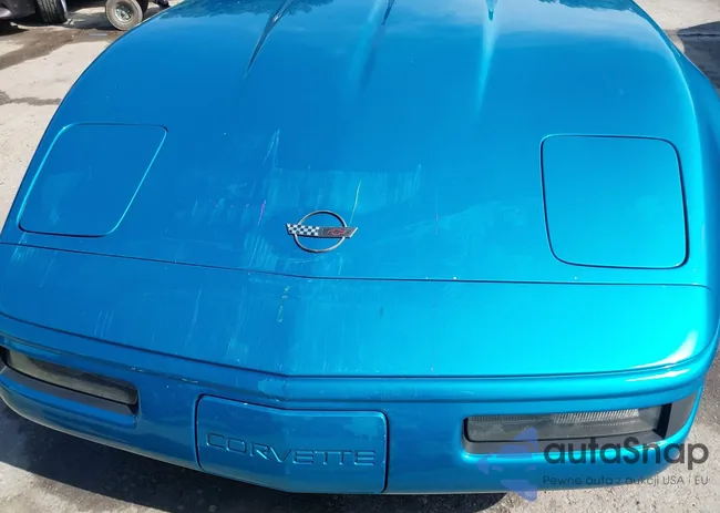 1G1YY23P8N5115674: 42863301