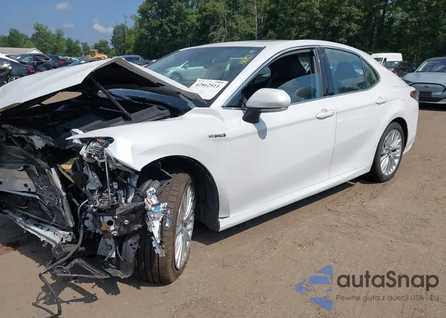 4T1F31AK9LU541581: 42862511