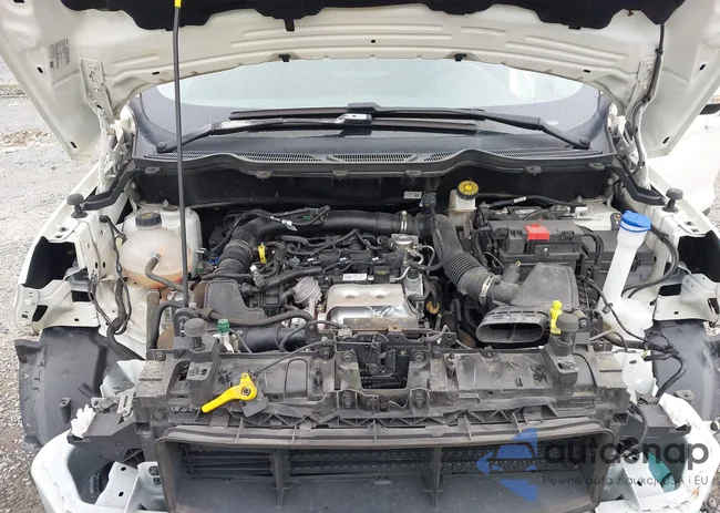 MAJ3S2GE8MC443995: 42862753