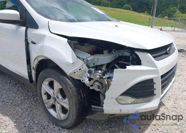 1FMCU9GX1EUA11318: 42864266