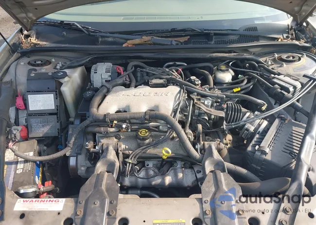 2G1WF52EX29246537: 42864332