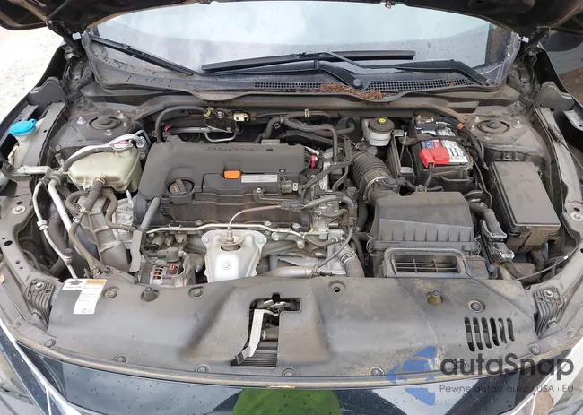 19XFC2F56GE096511: 42863653