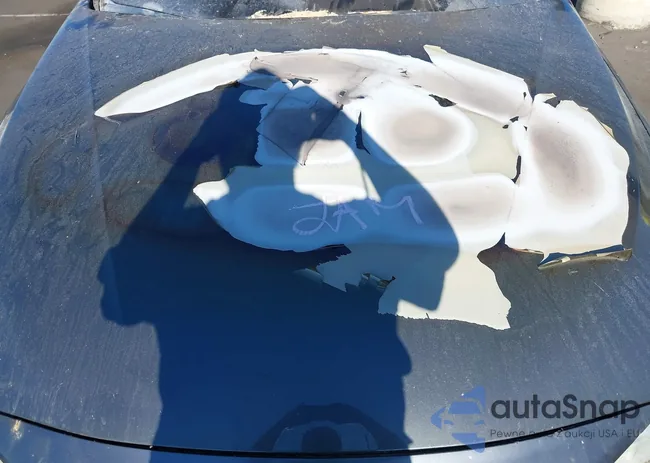 WBA4B3C59FD670407: 42863769