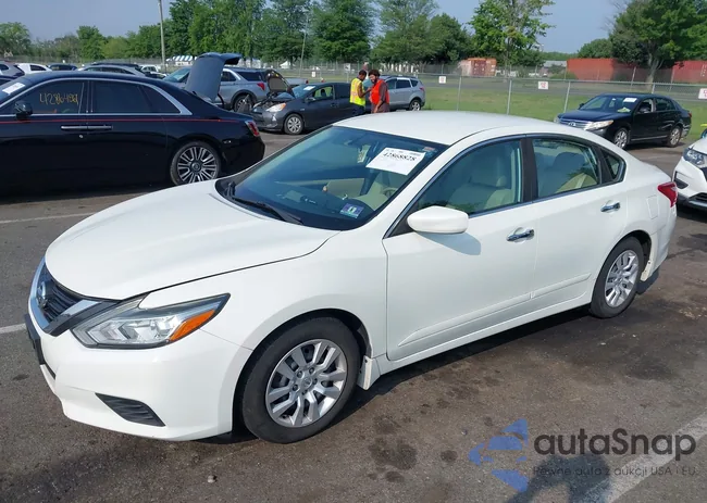 1N4AL3AP3HC136356: 42868828