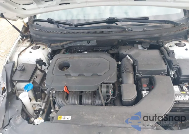 5NPE24AF9FH207539: 42869191