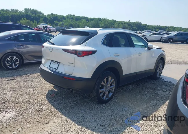 3MVDMBEM8LM127219: 42869871