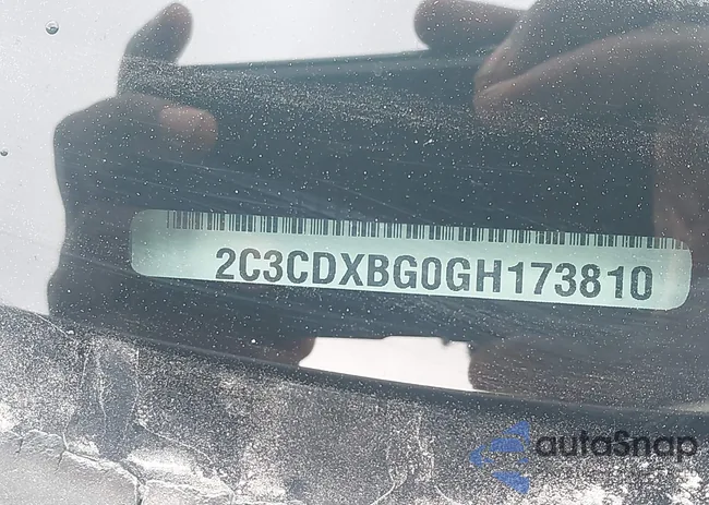 2C3CDXBG0GH173810: 42869695