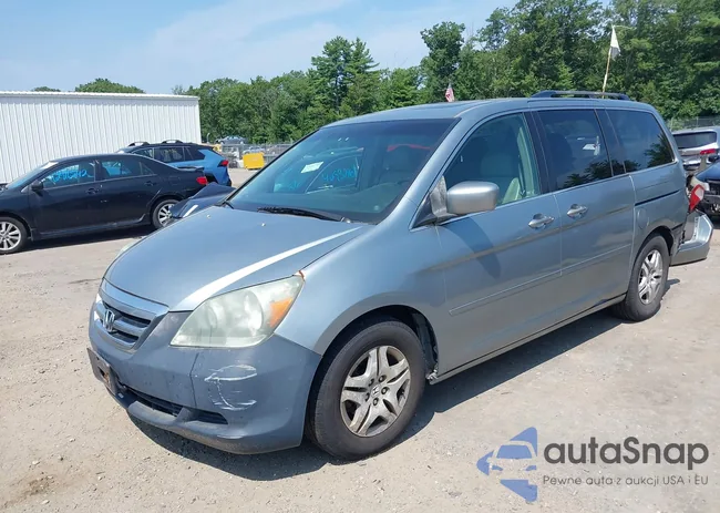 5FNRL38746B051464: 42872493