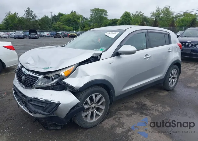 KNDPBCAC7G7853760: 42874005