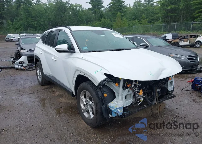 5NMJBCAE3NH160911: 42873734