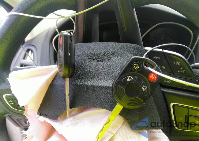 1FADP3K26FL223153: 42875205