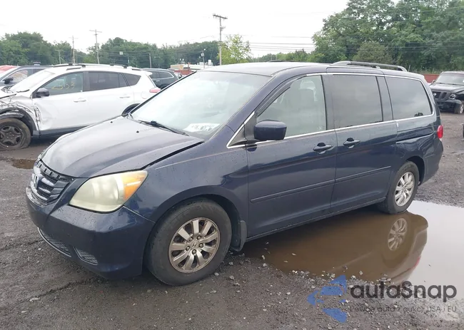 5FNRL38458B057461: 42874408