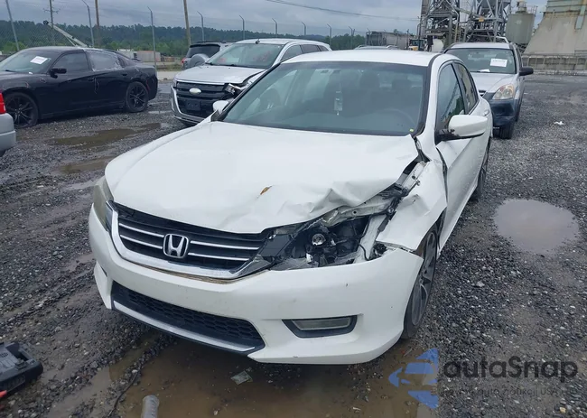 1HGCR2F54DA133606: 42875894