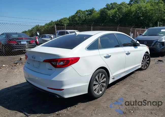 5NPE34AF3GH393691: 42875496