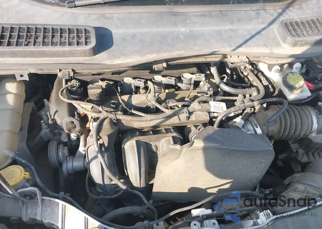 1FMCU0F73GUB88629: 42875770