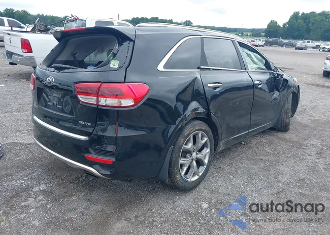 5XYPKDA51GG117505: 42876404