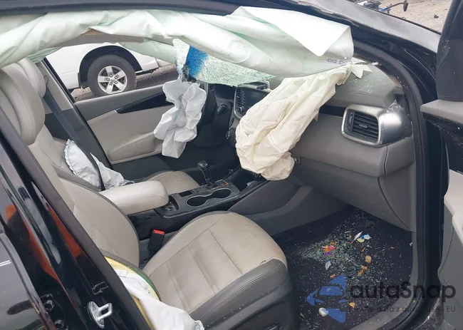 5XYPKDA51GG117505: 42876404