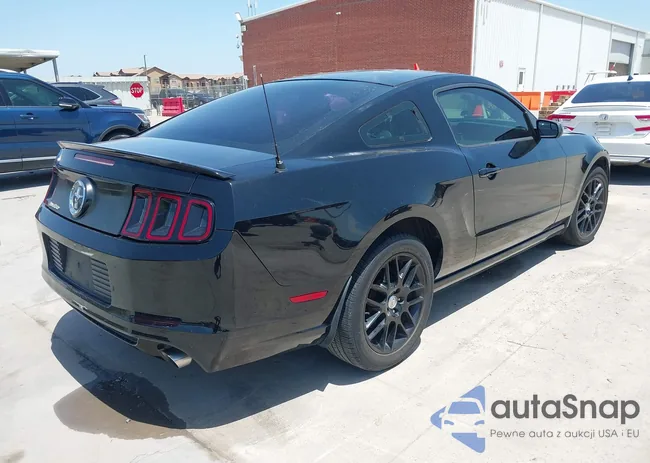 1ZVBP8AM9E5295367: 42876557