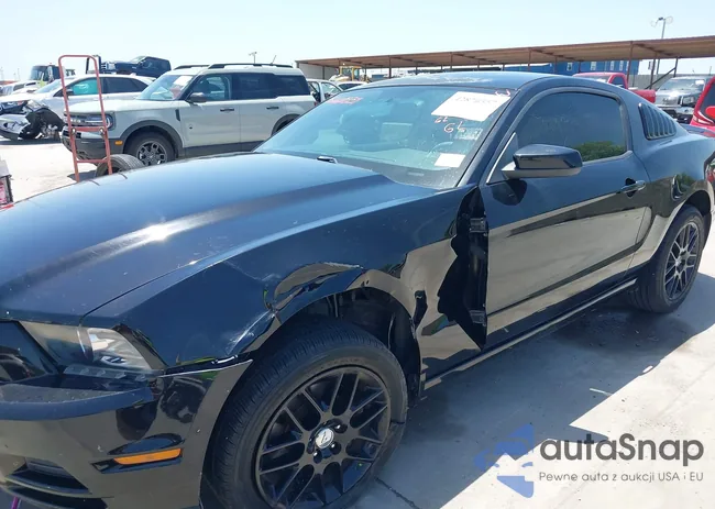 1ZVBP8AM9E5295367: 42876557