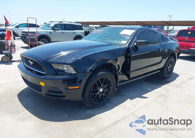 1ZVBP8AM9E5295367: 42876557