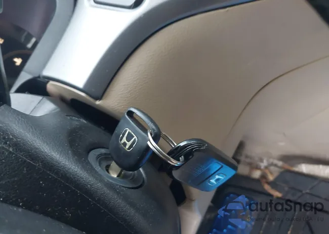 5FNRL38727B101523: 42877835