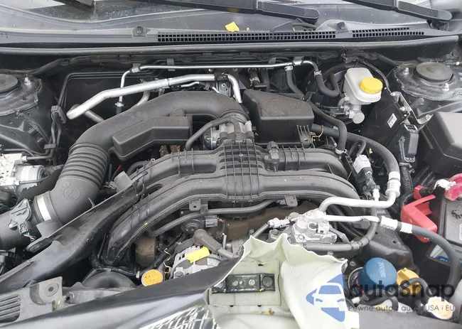 JF2GTAPCXM8324402: 42879174