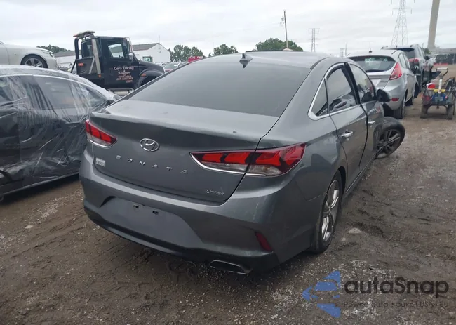 5NPE34AF7KH806396: 42879177