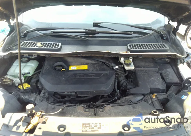 1FMCU9JX1FUB23157: 42879183