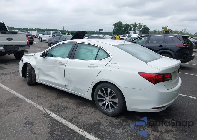 19UUB1F51FA009377: 42879875