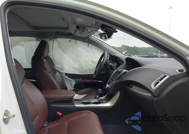 19UUB1F51FA009377: 42879875