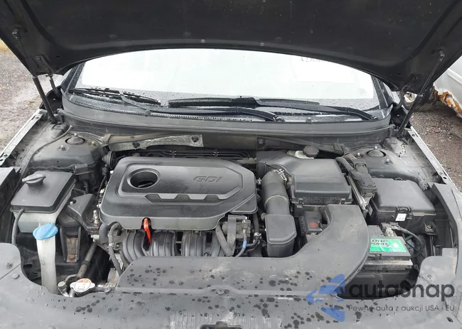 5NPE24AF5HH447982: 42880152