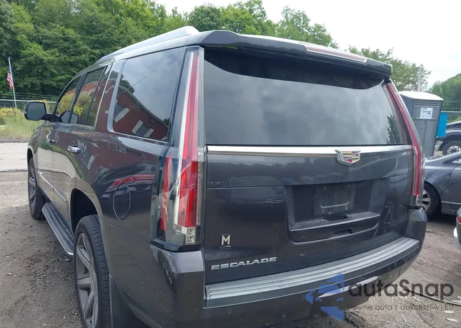 1GYS4CKJ0GR366240: 42879371