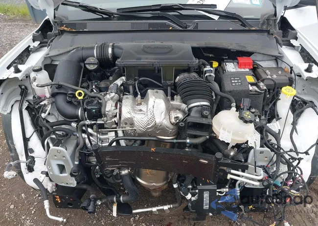 3C4NJDCN1RT159773: 42879415