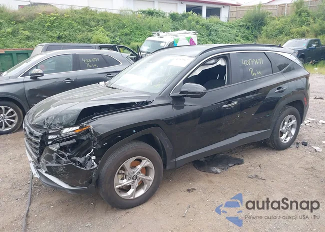 5NMJBCAE3PH237490: 42879677