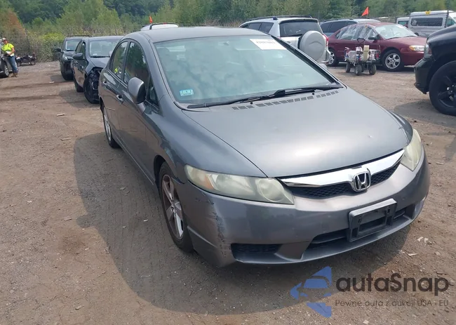 19XFA16669E010433: 42883082