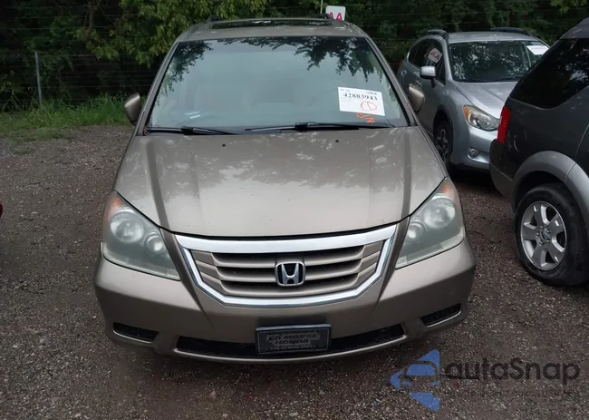 5FNRL38658B415420: 42883943