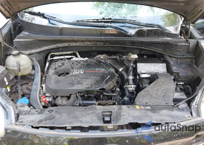 KNDPRCA61H7047050: 42884123