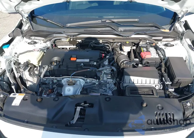 19XFC2F81ME203342: 42883661