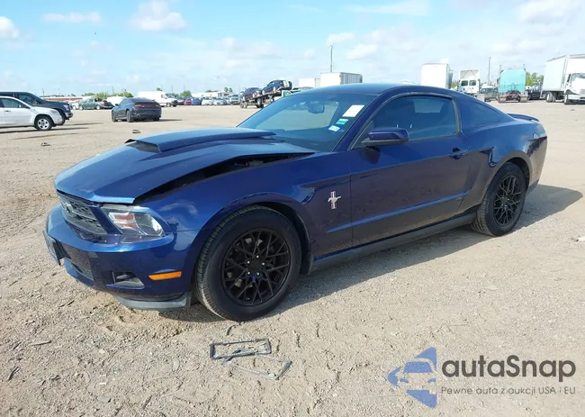 1ZVBP8AM1C5269701: 42886003