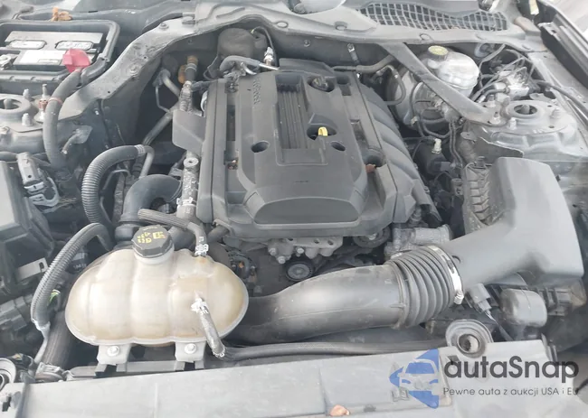 1FATP8UH2K5104301: 42889553