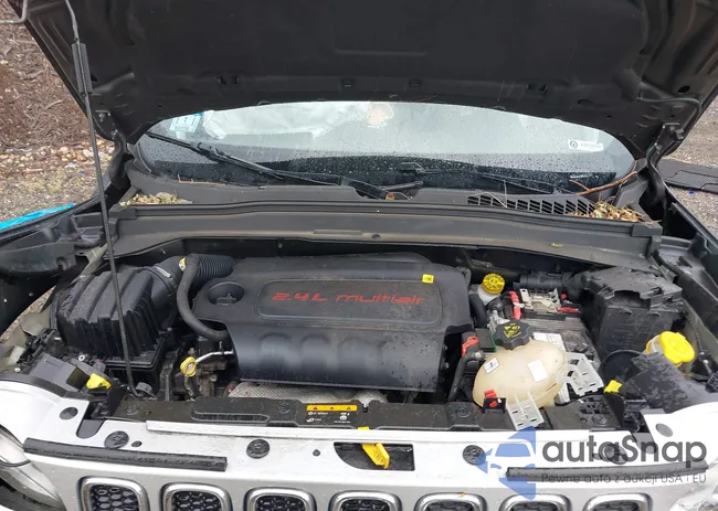 ZACCJBDB9JPG85533: 42890321