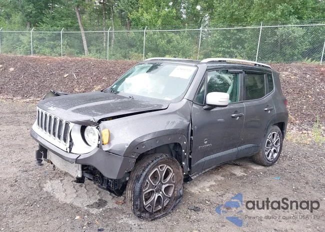 ZACCJBDB9JPG85533: 42890321